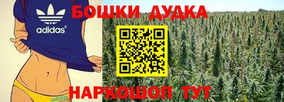 индика Аргун
