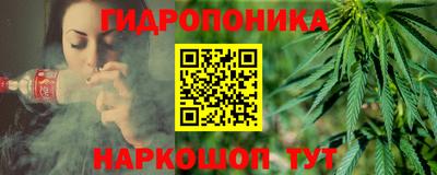 индика Аргун